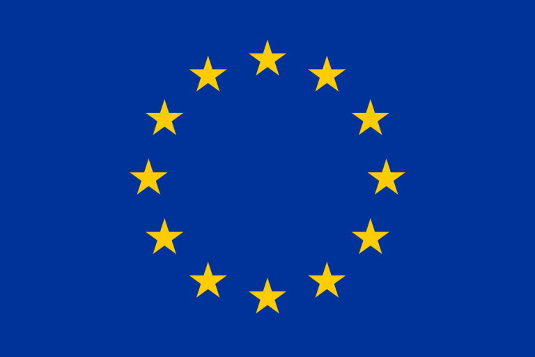 UE: Stabilire gli standard per la regolamentazione delle piattaforme online